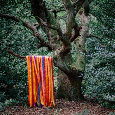 James Holden and the Animal Spirits -  The Animal Spirits